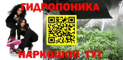 a pvp Аргун