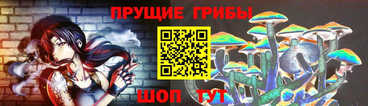 Вичуга  Псилоцибиновые грибы Cubensis  где продают   Вход с VPN 